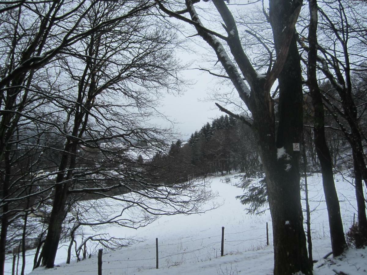 Ferienhaus Vulkaneifel Kopp Bagian luar foto
