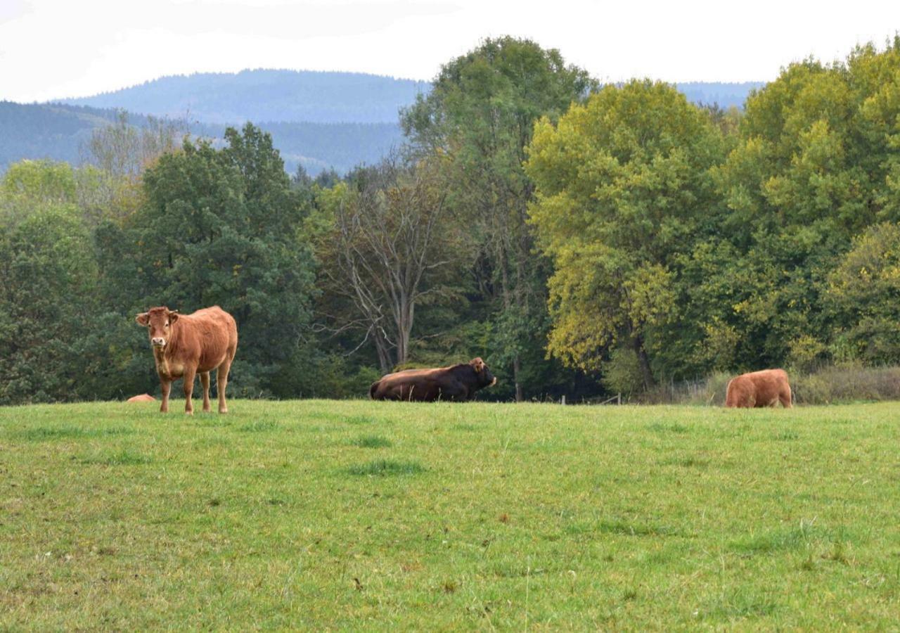 Ferienhaus Vulkaneifel Kopp Bagian luar foto